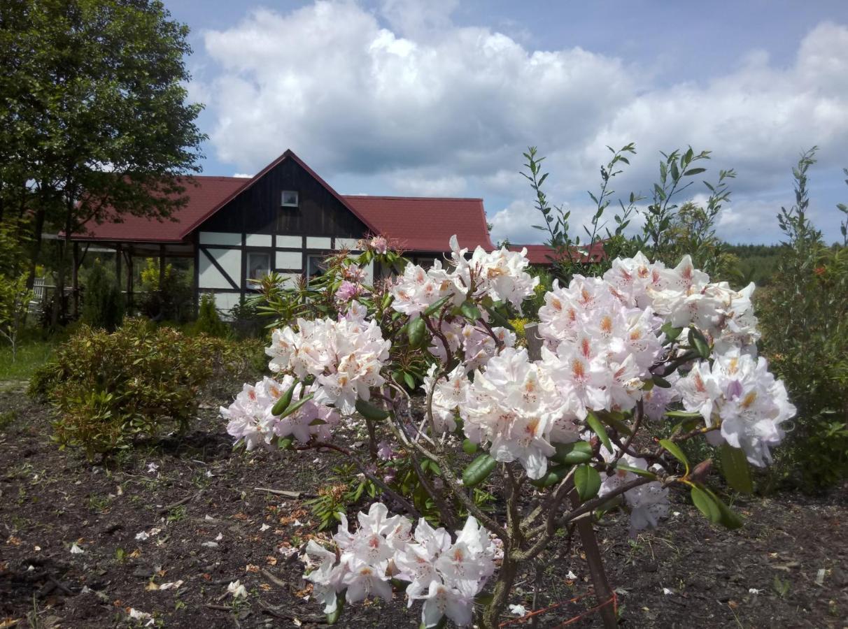 Dom Rybaka Villa Miroslawiec Luaran gambar
